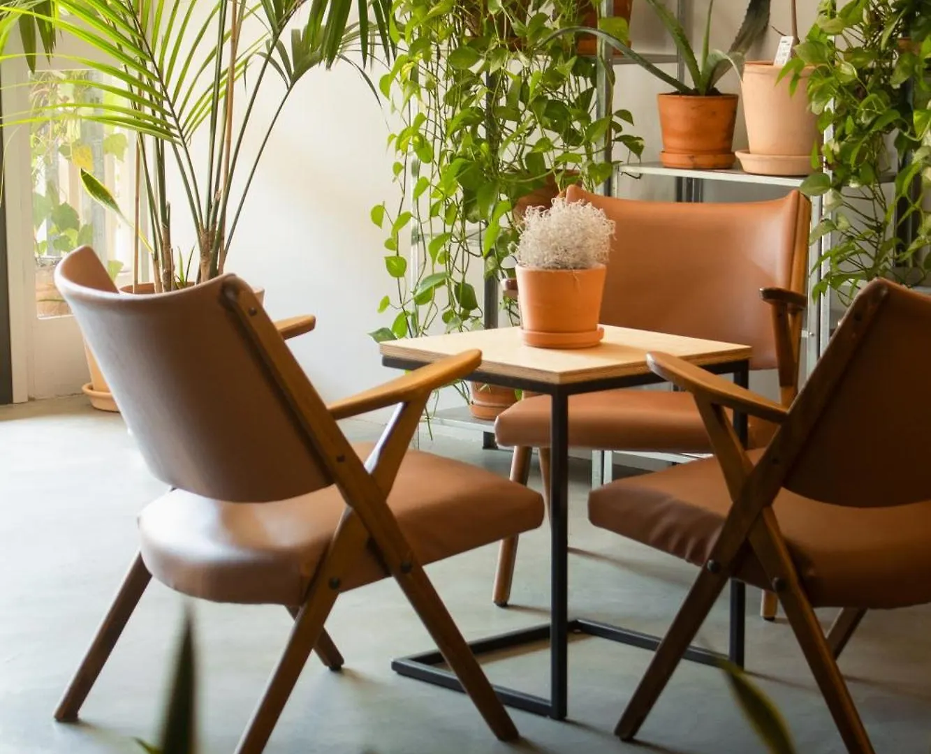 'Re-Dama Hostel Firenze